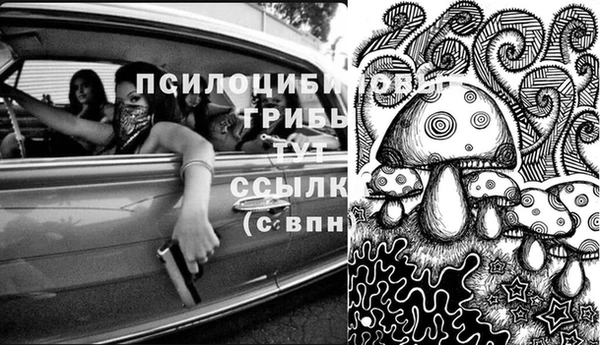 apvp Алзамай