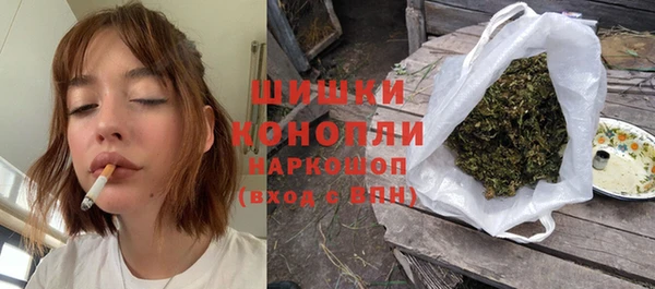 шишки Алексин