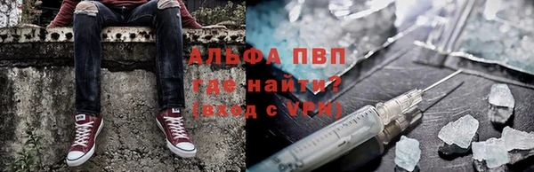 гашик Алексеевка