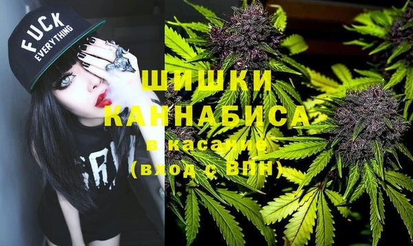шишки Алексин